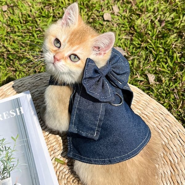 Denimvästskjorta med D-ring, stor storlek Hund Katttjej Rufsig jeansjacka Klänning L