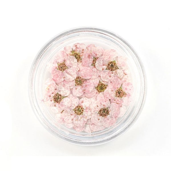 20 st 8mm spetspressade blommor Torkade blommor Epoxiharts Nail Art präglade smycken Safir