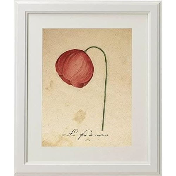 Paket med 3 "Red One" ramar. Tre A4-ark. Affischer med botaniska bilder. Ramlös