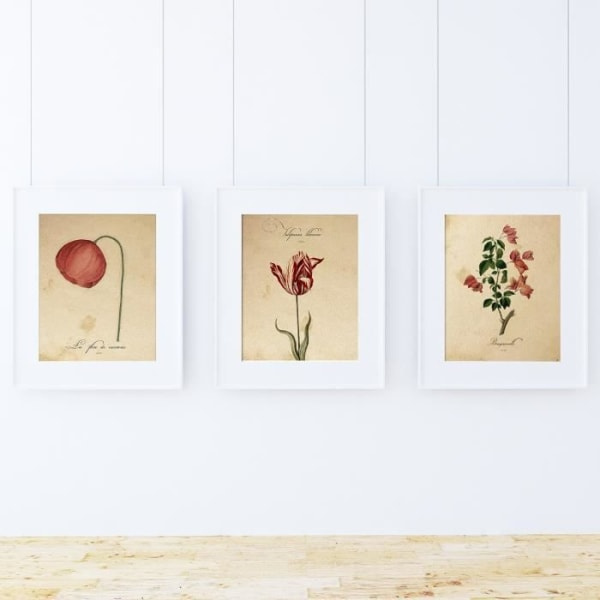 Paket med 3 "Red One" ramar. Tre A4-ark. Affischer med botaniska bilder. Ramlös