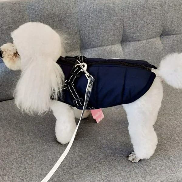 Hundjackor - Vattentäta vinterjackor - Hundselar med värmebälte - För små hundar