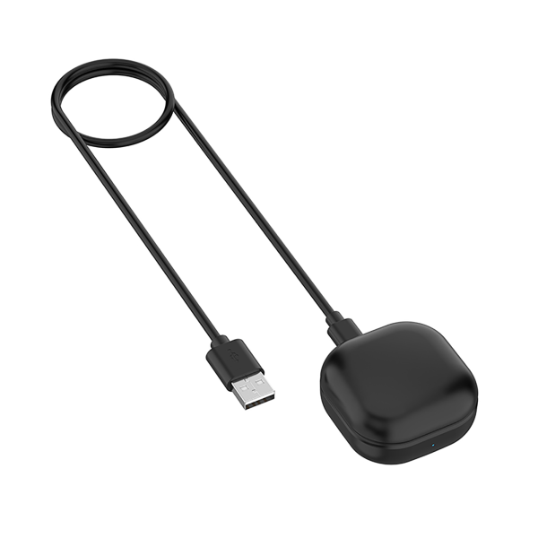 Case för Samsung Galaxy _Buds Live hörlurar svart