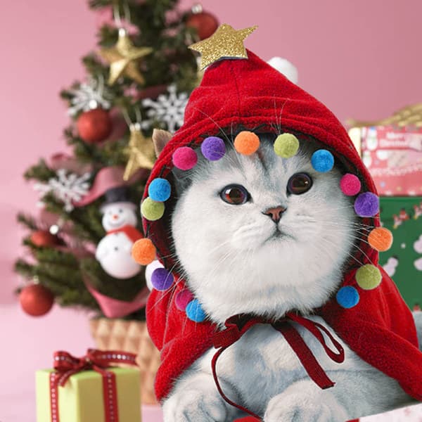 Julkattdräkt Tomteluva med halsduk Kitty shape2 M