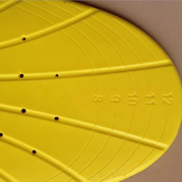 Skosulor med Memory foam / Inläggssulor - Elastiska (St. 37-43)