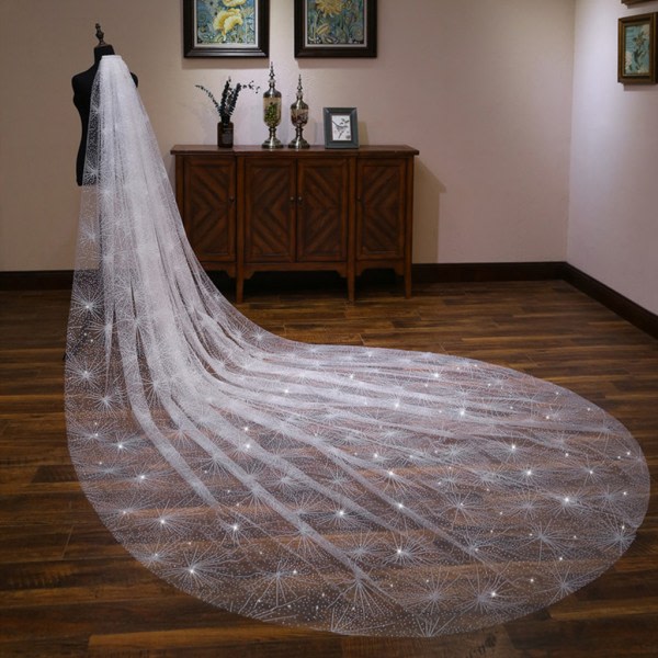 för 3M Single Layer Women's White Trailing Long Wedding Veil Seashell Spray Glitter R