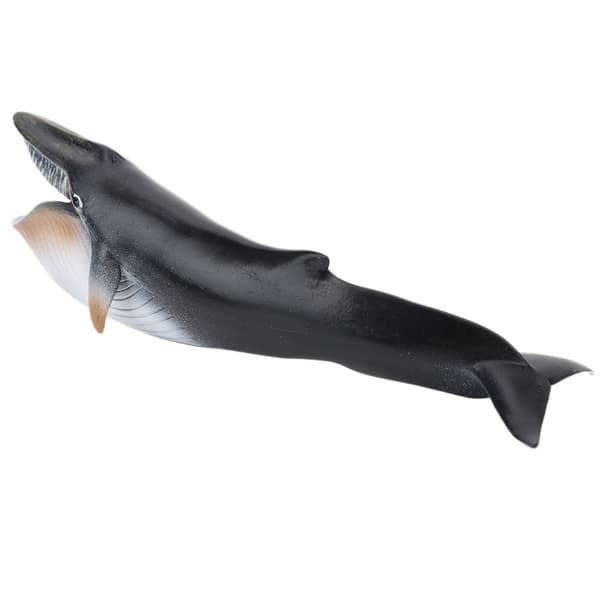 Marine Dyre Simulationsmodel Ornamenter Skrivebordsdekoration Børneuddannelseslegetøj PL127‑1341
