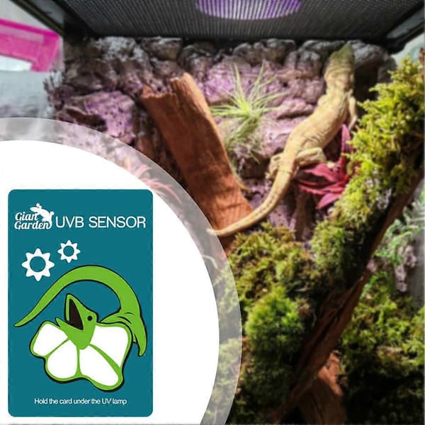 UVB-indikator testkort til terrarium - Genanvendelig hurtig UVB-testsensor til ultraviolette lamper 1pc