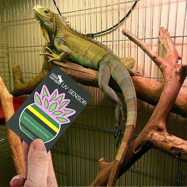UVB-indikator testkort til terrarium - Genanvendelig hurtig UVB-testsensor til ultraviolette lamper 1pc