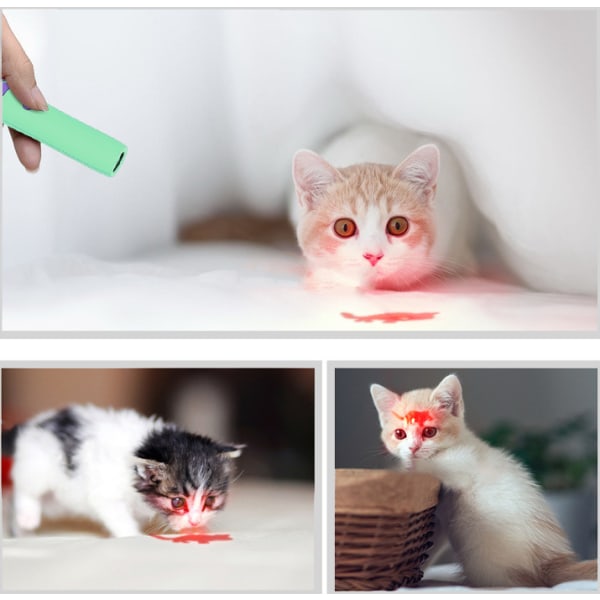 Interaktiv LED Pet Laser Cat Stick Anti-Boring Projektion Pen Kattelegetøj (lilla)