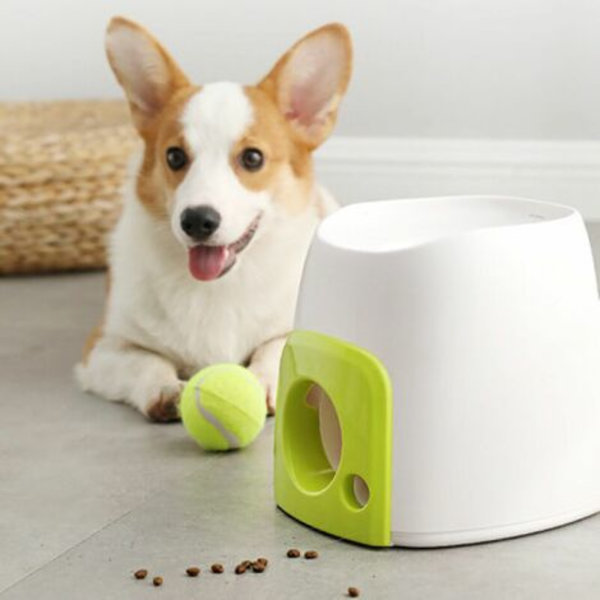 Dog 2024 toss machine