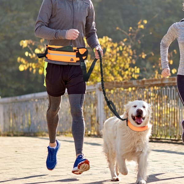 Reflekterende håndfri hundebånd med mageveske for løping, turgåing, utendørs nattjogging