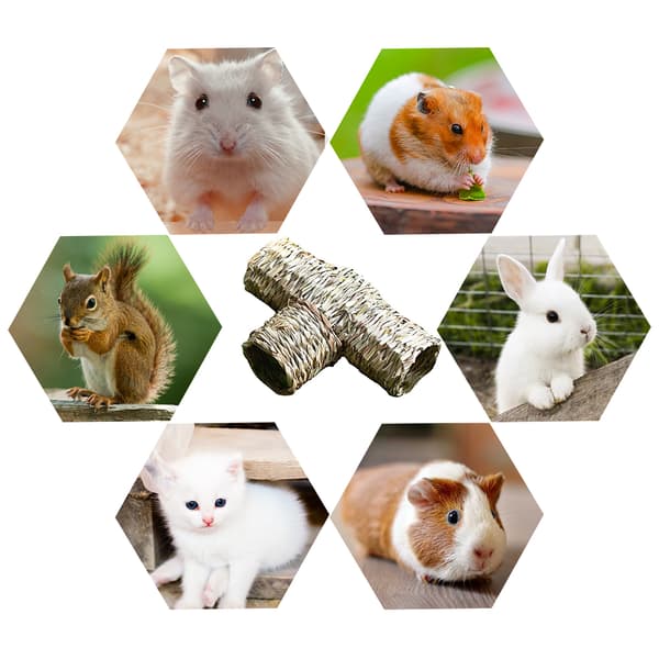 Hamsterhus Gömställe Litet Bo Tunnel Husdjur Gräs Bur Leksak