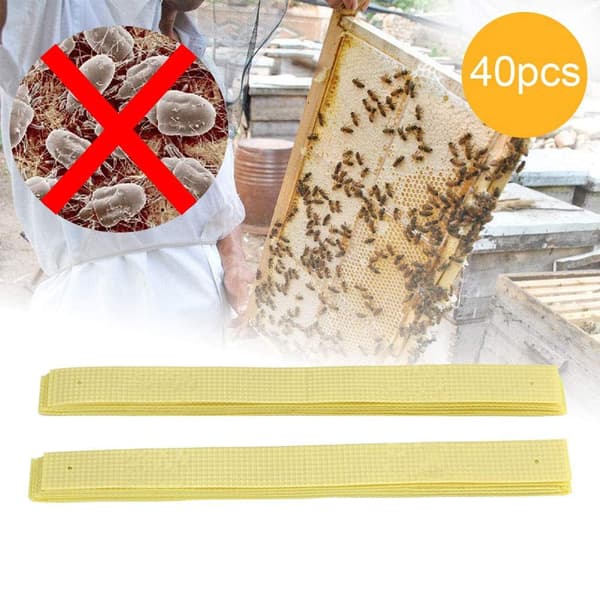 40 stk. Manhao Fluvalinat Midd Strips Varroa Behandling for Birøkt