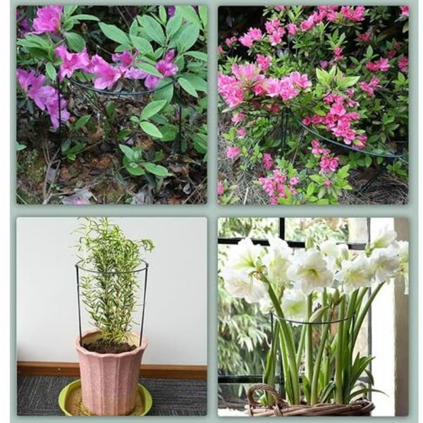 6x plantepæle, halvrunde grønne pæle Plantestøtte plantestøtte, hjælp dine planter med at vokse - plantestøtteringe