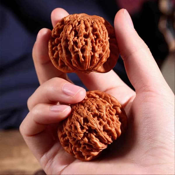 Valnøddemassagebolde til hænder – Stresslindring og cirkulationsstøtte – for fokus C C Large