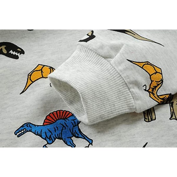 Pojkar Sweatshirts Dinosaur Hoodie Toppar Toddler Hoodie T-shirts Casual Hoodie Långärmad Outdoor Dinosaur 140cm