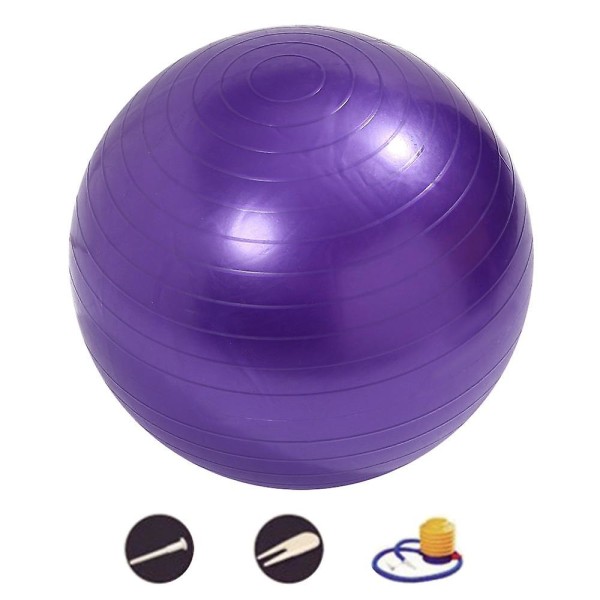 Harjoituspallo Tasapainopallo pumpulla Jooga Pilates Venyttely Fitness Koti Kuntosali Harjoitus Harjoitus Purple Frosted-65Cm