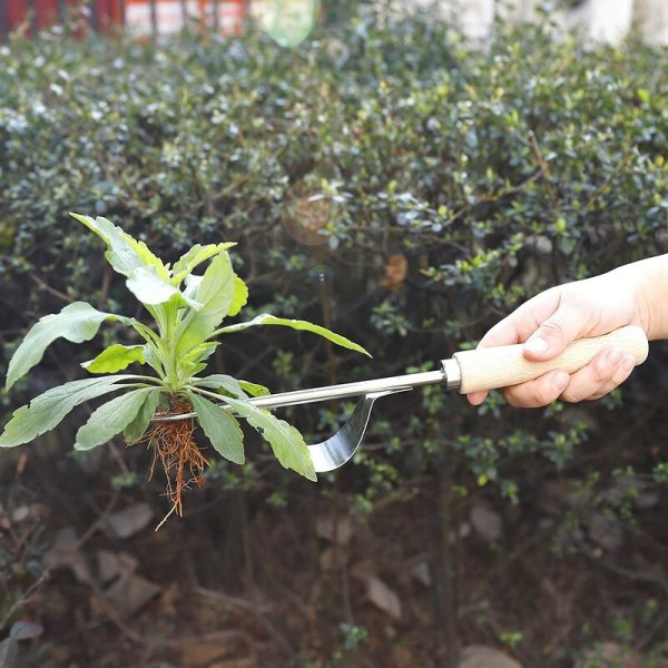 Puinen kahva ruostumaton teräs piirustus taimi manuaalinen istutuskone irrotus rikkakasvien lapio kestävä