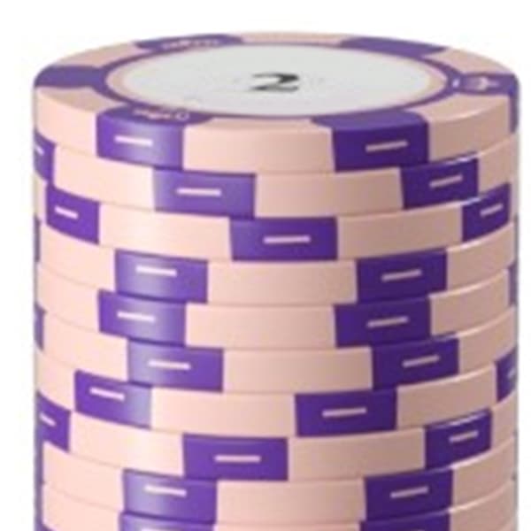 20 st Professionella Pokerchips Set Tydlig Utskrift Stora Siffror Spelräkningsbrickor för Brädspel