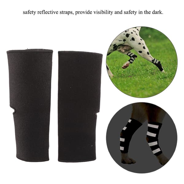 2 stk. hundebenskinne til bakben, haseleddsbeskytter for leddgikt og forstuing (XL)