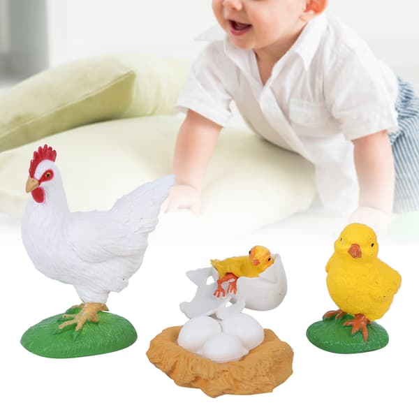 Hane Vækstcyklus Model Børn Miniature Simulation Dyr Tidlig Uddannelse Statue Legetøj
