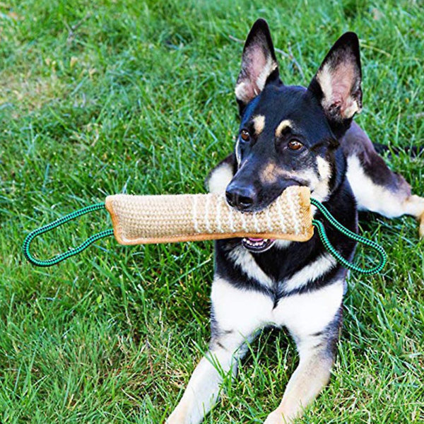 Hundträning bett kudde Jute bett leksak Hund bogserleksak Slitstark hund bett ärm Stick träningsutrustning för valp till stora hundar Interaktiv lek