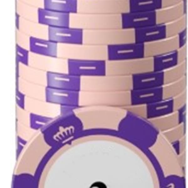 20 st Professionella Pokerchips Set Tydlig Utskrift Stora Siffror Spelräkningsbrickor för Brädspel