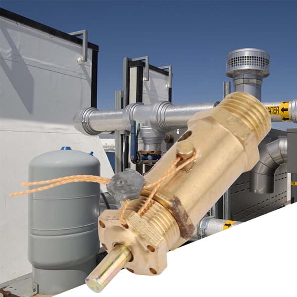 G1/4 luftkompressor sikkerhedsventil til kedeldampgenerator (5KG)