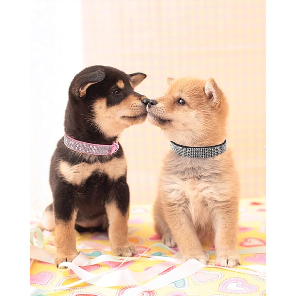 Pienet koirien kaulapannat, säädettävät kiiltävät mokkanahkaiset koiranpannat, vaaleanpunaiset koiran kaulapannat kissan kaulapannat, tekojalokivi koiranpannat (sma