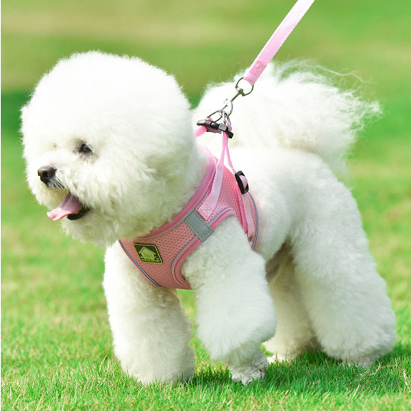 Koiran valjaat ja set, pehmeä mesh , hengittävä, jännitteetön pentuliivi -M, vaaleanpunainen,