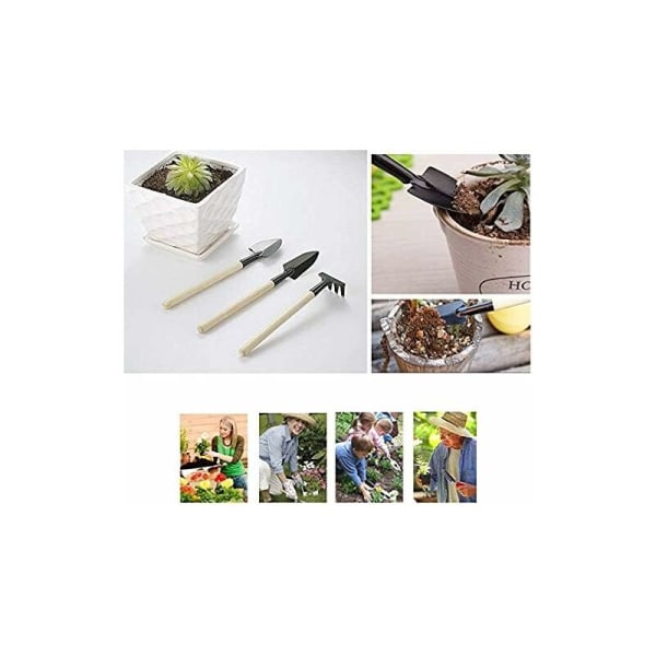 15 st Planteringsverktyg, Suckulent Transplantation Tool Kit, Mini Trädgård Plantering Verktyg