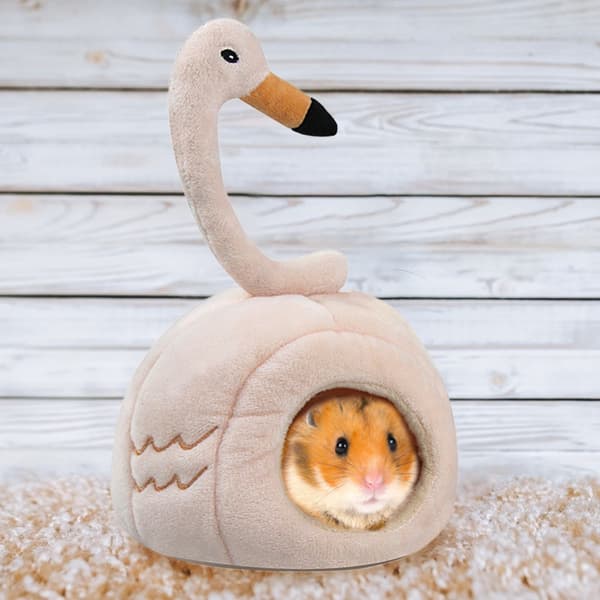 Litet Djur Hamster Varm Sovplats Vintergrotta Husdjurssäng
