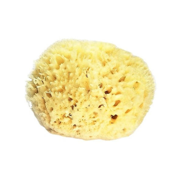 Sea Wool Sponge 3,0-3,5&quot; (stor) Med Bath & Shower Express Natural Renewable Resource!