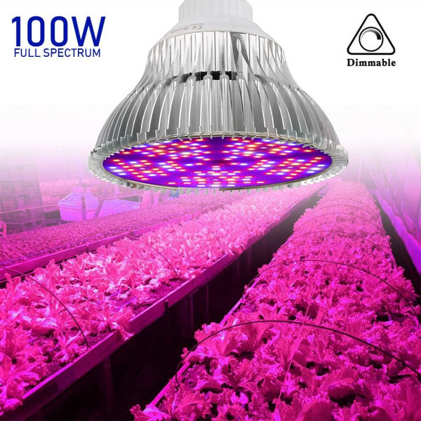Plantelys 100W LED Grow Light Fuldspektrum Plantevækst Lampe 150LED E27 Indendørs Plant Grow Light til Hydroponic indendørs havedrivhus