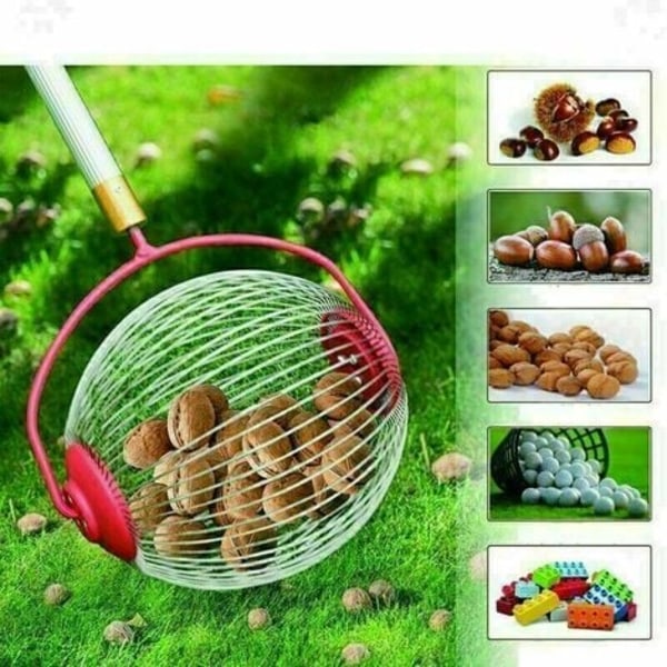 Nut Picker Roller Chestnut Picker Roller With Telescopic Rod Roller Collector Collection Basket - Smallest Fruit Picker