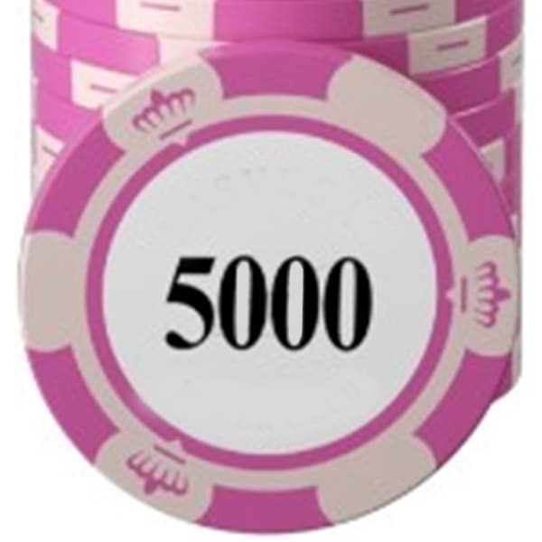 20 st Professionella Pokerchips Tydlig Utskrift Stora Siffror Spelräkningsbrickor för Brädspel 5000