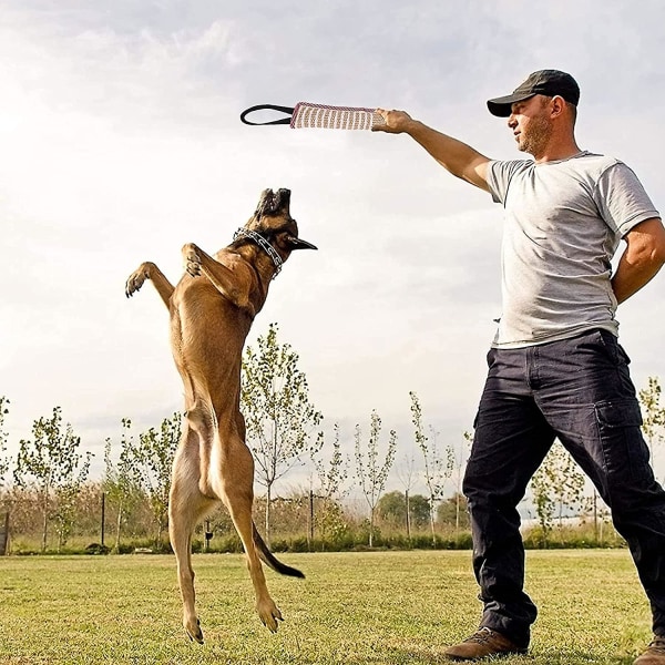 2-pak Hundesok Jute Hundesok 30 cm med to håndtag Reb Sok Hundelegetøj Meget robust Hundelegetøj Interaktivt spil