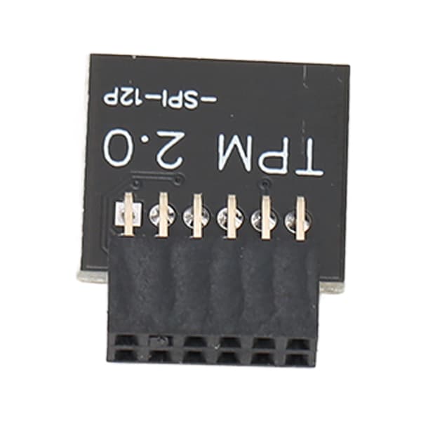GIGABYTE Moderkort TPM 2.0 Säkerhetsmodul SPI 12Pin Windows 11 Kryptering