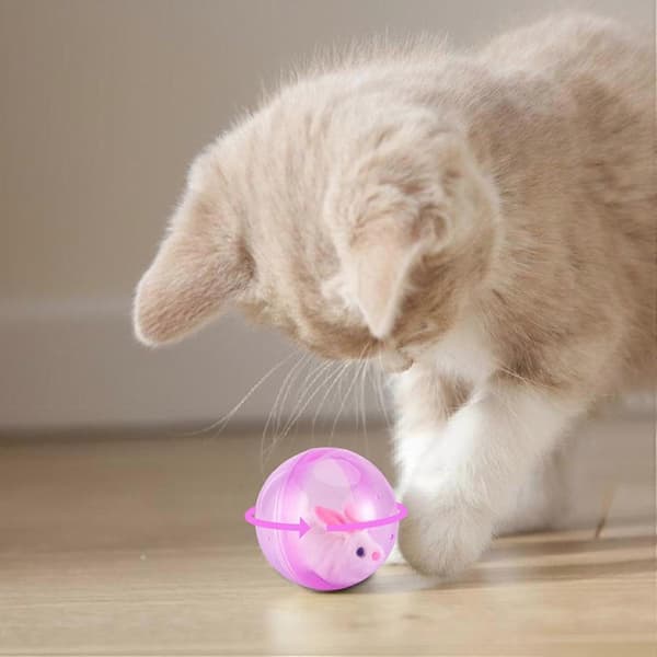 Hamsterbold til katte | Stor hamsterbold | Hamsterbolde | Rullende kæledyrsbolde | Elektriske hamstere, der løber bolde | Automatisk rullende Pink