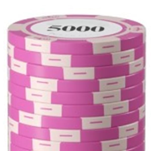 20 st Professionella Pokerchips Tydlig Utskrift Stora Siffror Spelräkningsbrickor för Brädspel 5000