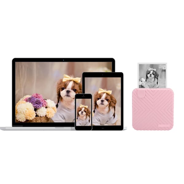 58mm Bluetooth Termisk Printer 203DPI Foto ABS PC Bærbar Manuel Rivning Pink
