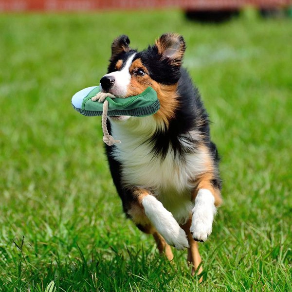Hundtugga leksak Sko oförstörbar mini sneakers skor Valp leksak för tristess Interaktiv leksak för små medelstora hundar