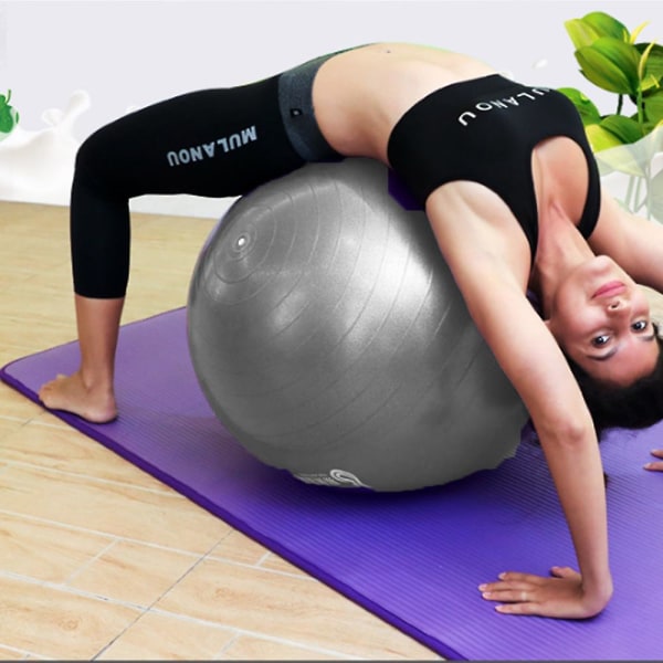 Træningsstabilitet Bold Yoga Pilates Anti Burst M/pumpe Sliver Glossy