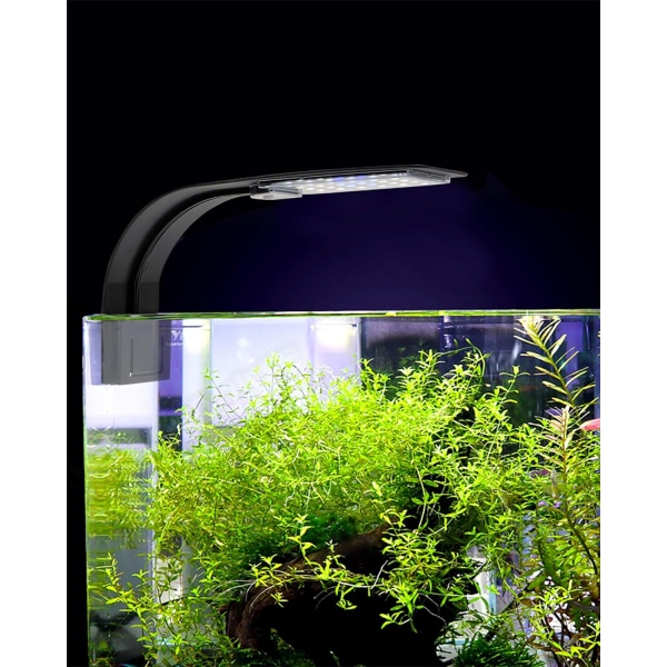 Ultra lille LED-lys til små akvarier, mini-akvarieclips med 24 hvide og blå LED'er til 30-40 cm akvarium, 10W (sort)
