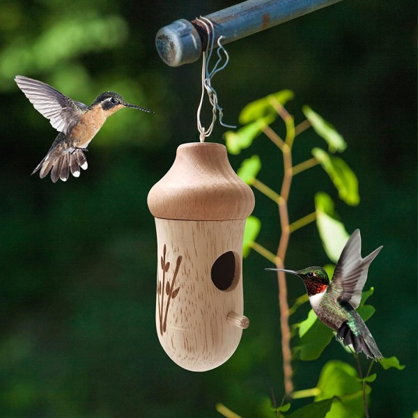 Trähummingbird Utomhus Hängande, Kolibribo Wren Svala
