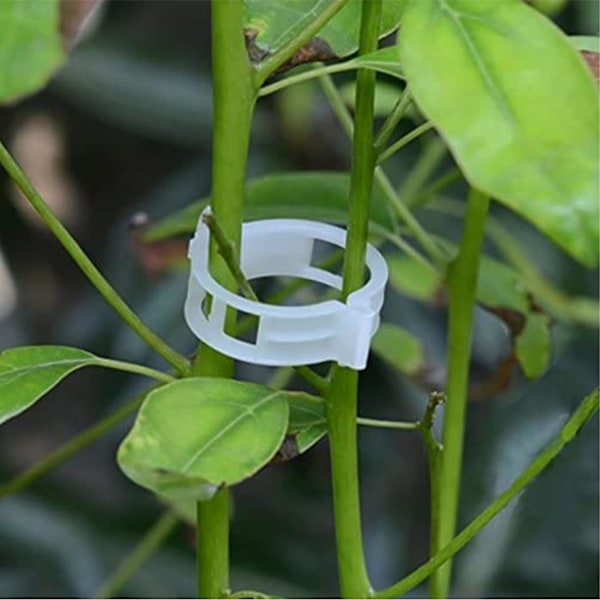 100 stk. Haveklemmer til planter, til at binde planter, snor, espalier
