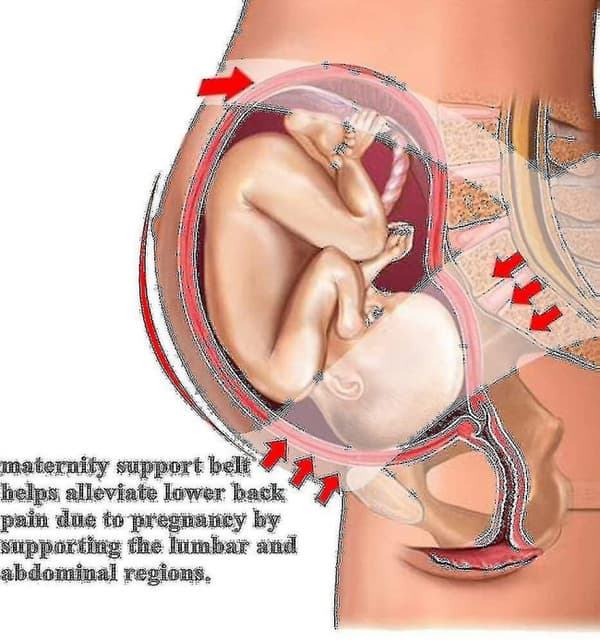 Maternity Support Belt Rtdep Graviditetsbälte Stöd Stöd Stöd Pregnan