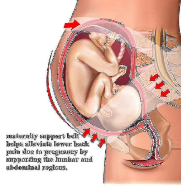 Maternity Support Belt Rtdep Graviditetsbælte Støttebøjle Pregnan