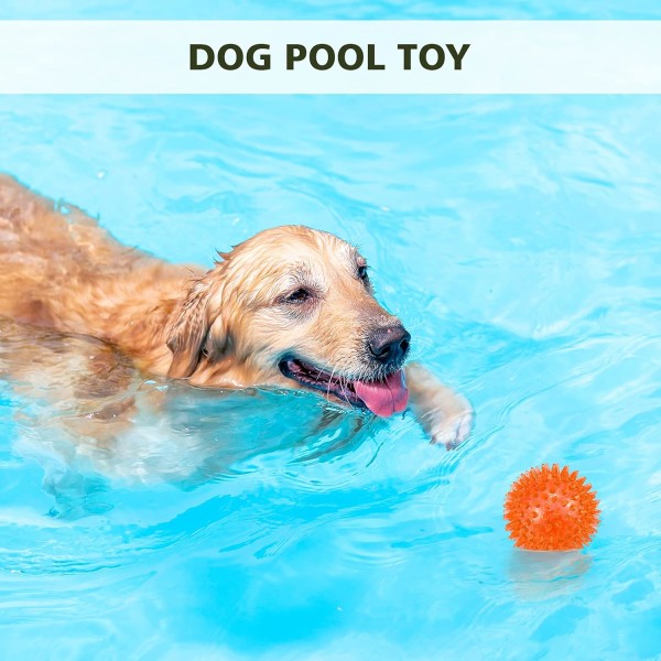 3-pack hundsqueakbollar, hundtuggboll, poolleksak, valpleksak