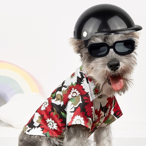 Hjälm för husdjurshund, valphjälm, husdjur chihuahua utomhusskyddshuvud